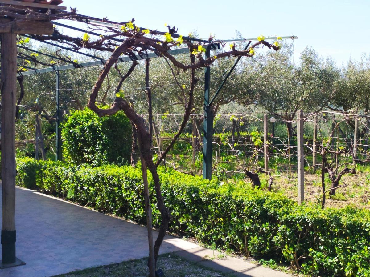 Il Vigneto "Cottage" Gaggi Εξωτερικό φωτογραφία