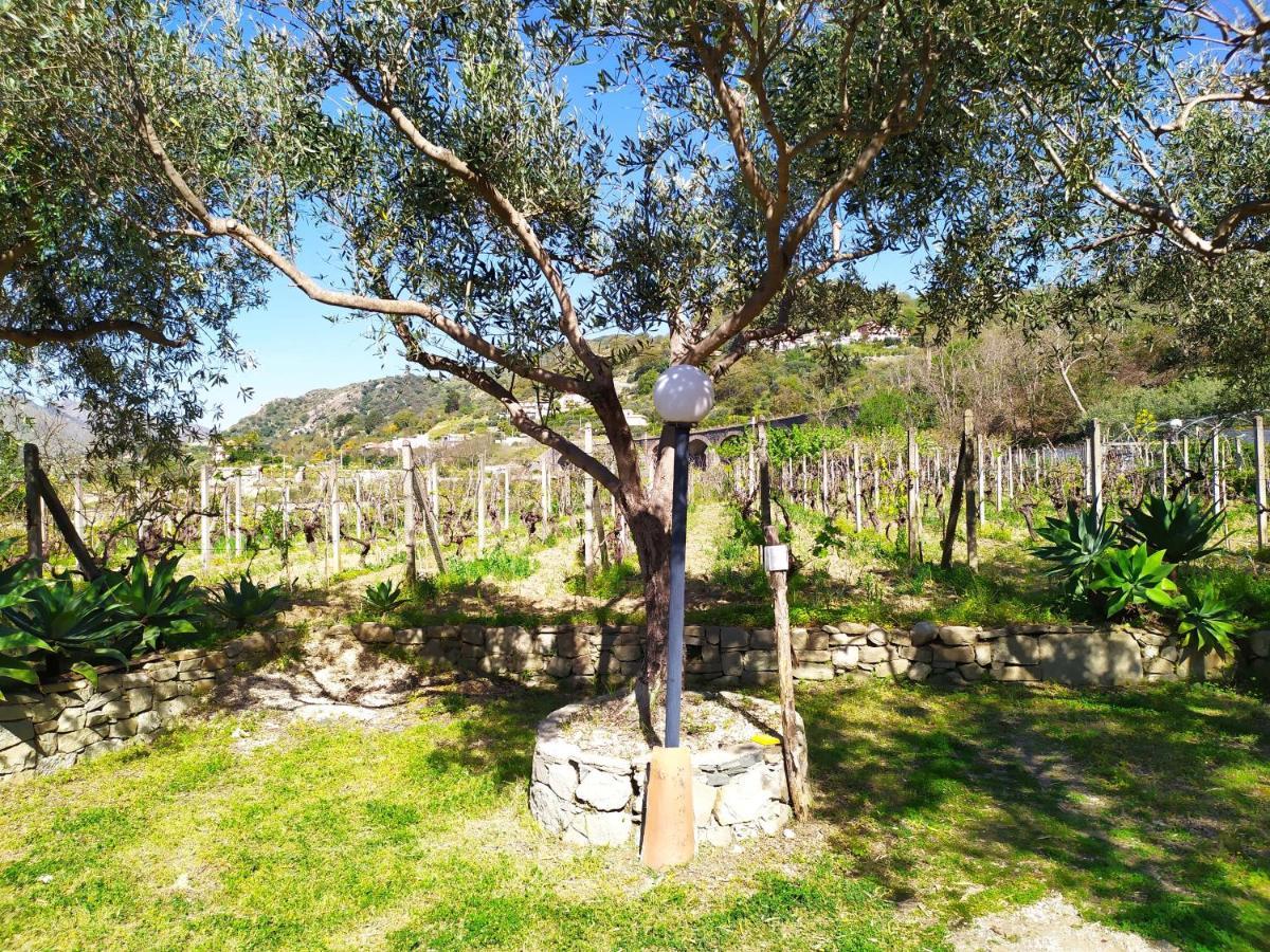 Il Vigneto "Cottage" Gaggi Εξωτερικό φωτογραφία