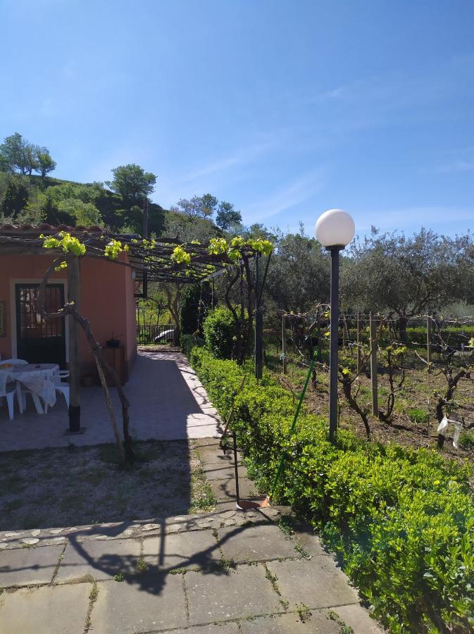Il Vigneto "Cottage" Gaggi Εξωτερικό φωτογραφία