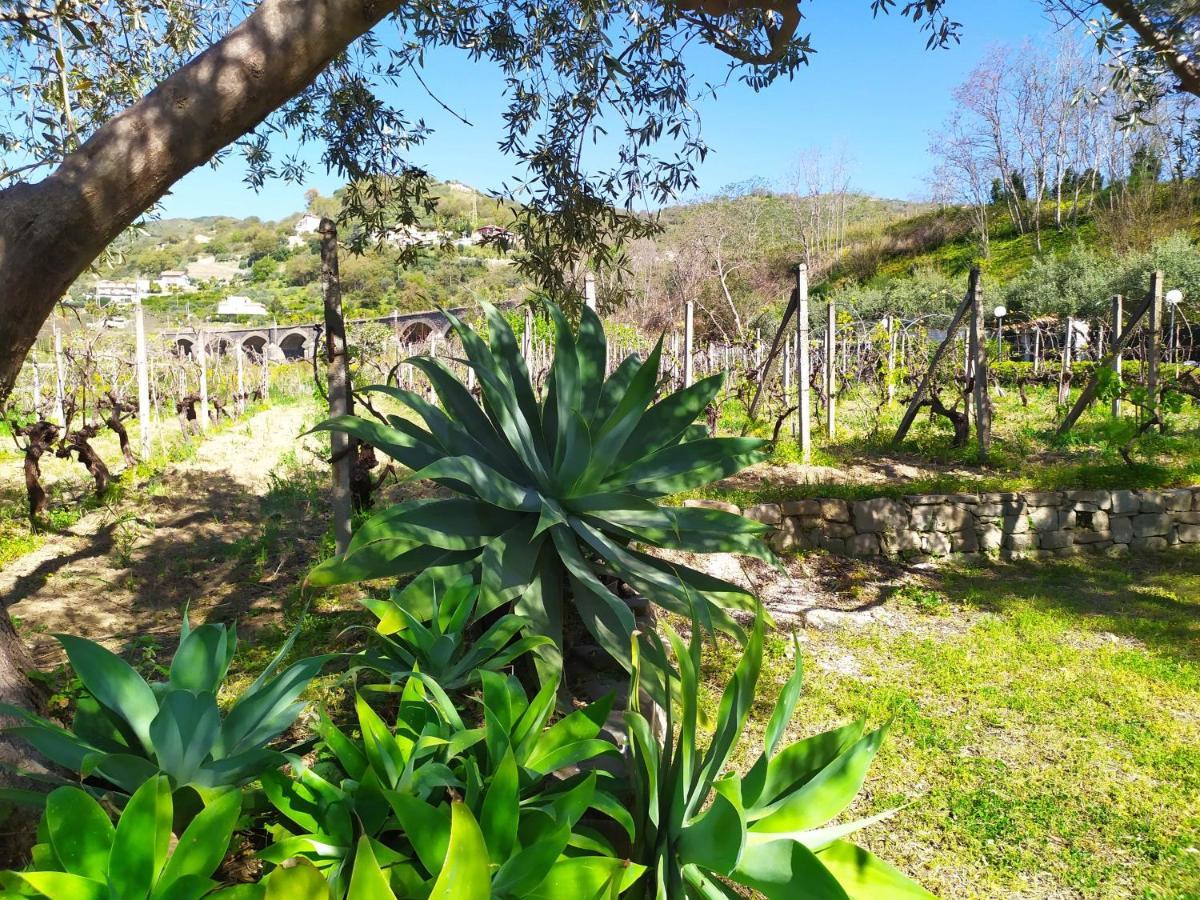 Il Vigneto "Cottage" Gaggi Εξωτερικό φωτογραφία